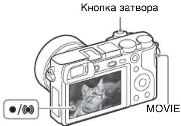 SONY ILCE6000L - PnmuTkn - 2
