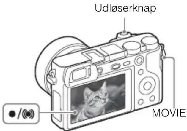 SONY ILCE6000L - Optagelse af stillbilleder/film - 1