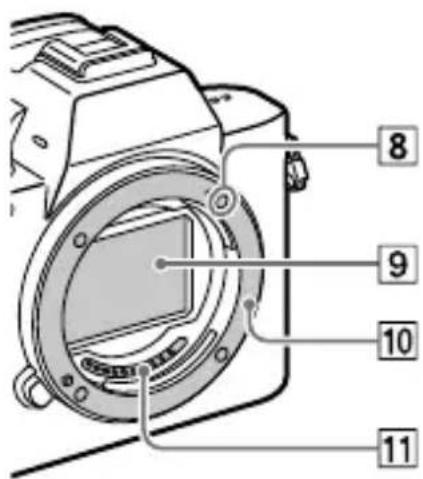 SONY ILCE7M3K - Когда объектив снят - 1