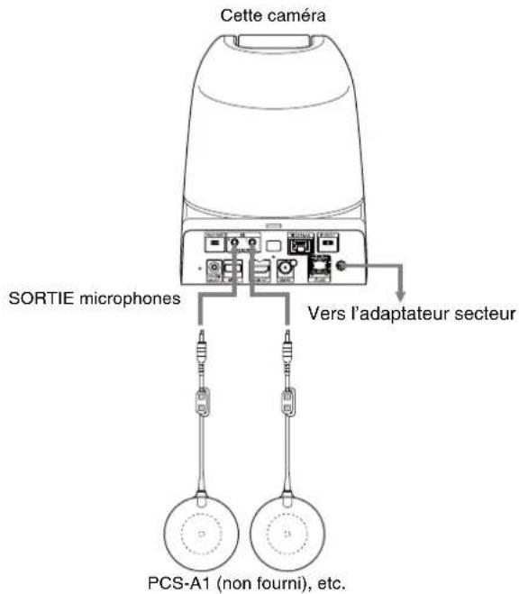 Cette caméra SORTIE microphones Vers l'adaptateur secteur PCS-A1 (non fourni), etc.