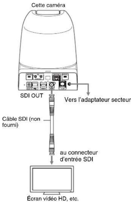 Cette caméra SDI OUT Vers l'adaptateur secteur Câble SDI (non fourni) au connecteur d'entrée SDI Écran vidéo HD, etc.