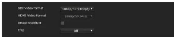 SDI Video format 1080p/59.94Hz(A) HDMI Video format 1080p/59.94Hz Image stabilizer EFlip Off