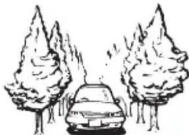 PIONEER AVICW8600NEX - Lors de la conduite dans une ford dense ou sous de grands arbres - 1