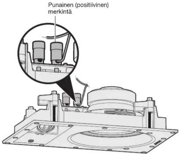 BOSE Virtually Invisible 891 - Kaiutinjohdon liittäminen - 2
