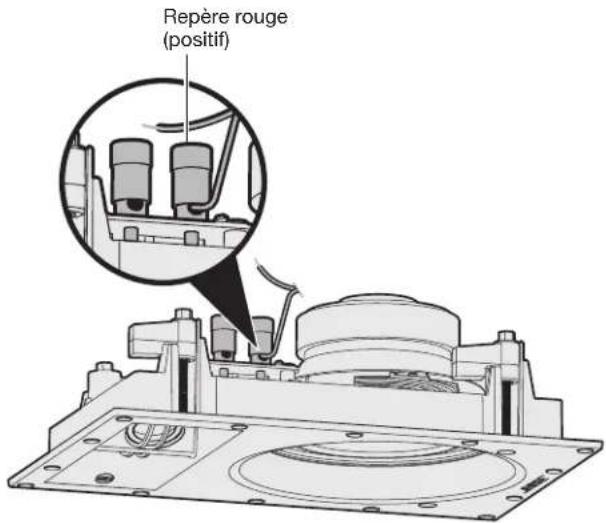 BOSE Virtually Invisible 891 - Raccordement du câble d'enceinte - 2