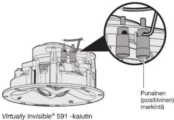 BOSE Virtually Invisible 591 - Kaiutinjohdon liittäminen - 2
