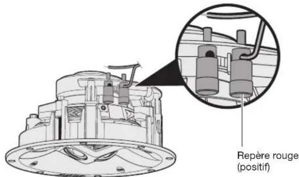BOSE Virtually Invisible 591 - Raccordement du cable d'enceinte - 2