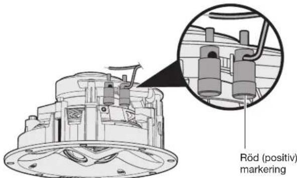 BOSE Virtually Invisible 591 - Ansluta högtalarledningarna - 2