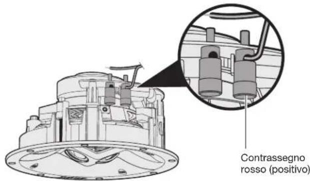 BOSE Virtually Invisible 591 - Collegamento del cavo del diffusore - 2