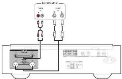 MARANTZ SA10 - Connexion à un amplificateur audio stéréo - 1