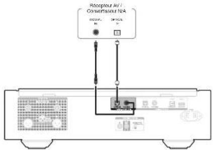 Receptor AV / Converance N/A DCOVA R PHYSICAL N/A