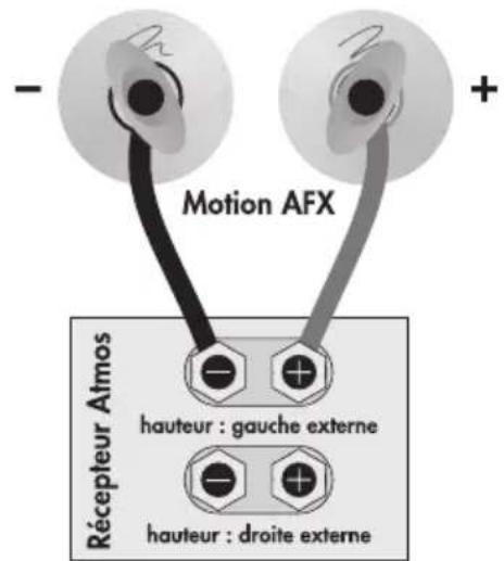 Martin Logan Motion AFX - RACCORDEMENT - 2