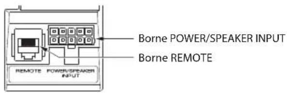 KENWOOD KSCPSW8 - ■ Bornes du caisson d'extrème grave - 2
