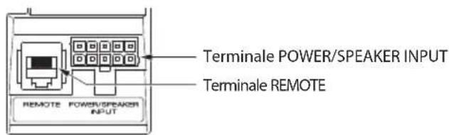 KENWOOD KSCPSW8 - Terminal del subwoofer - 2