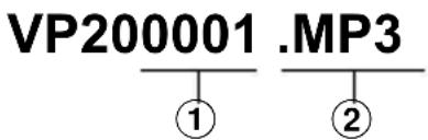 OLYMPUS VP20 - Conseil - 1