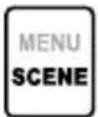 OLYMPUS VP20 - Sélection du mode enregistrement automatique [rec scene] - 1