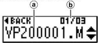 OLYMPUS VP20 - Remarque - 10