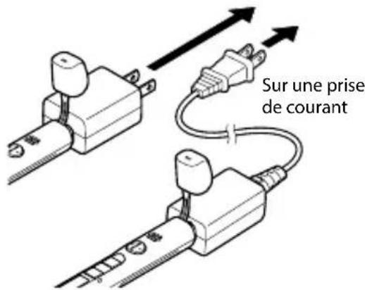 OLYMPUS VP20 - Branchez l'enregistreur vocal sur la prise USB de l'adaptateur secteur USB. - 2