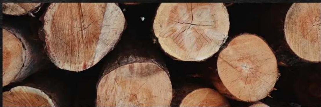 TRAEGER Pro 22 - GRANULES DE BOIS FRANCENTIÈREMENT NATUREL - 1