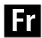 NIKON AFS Nikkor 1424mm f2.8G ED - De Hinweis für Kunden in Europa - 2