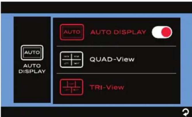 Furrion Vision S FOS07TASF - Réglage de l'affichage Automatique - 2