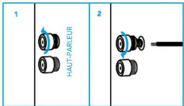 DEFINITIVE TECHNOLOGY CS9080 - Connector vos haut-parleurs - 3