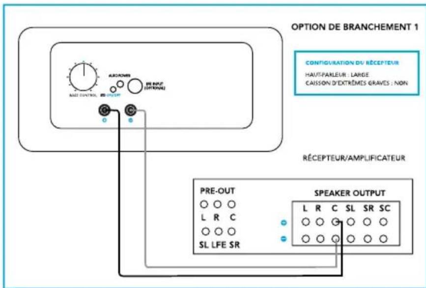 DEFINITIVE TECHNOLOGY CS9080 - Option 1 de connexion : niveau du haut-parleur uniquement (recommandé) - 1