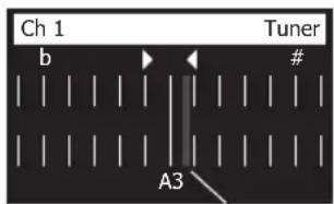 BOSE T8S ToneMatch - Using the Tuner - 1