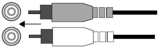 INFINITY Kappa One K - Entrées niveau ligne (RCA) - 1