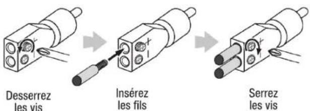 INFINITY Kappa Four - Entrées niveau ligne (RCA) - 2