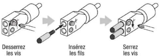 INFINITY Kappa Five - Entrées niveau ligne (RCA) - 2