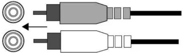 INFINITY Kappa Five - Entrées niveau ligne (RCA) - 1