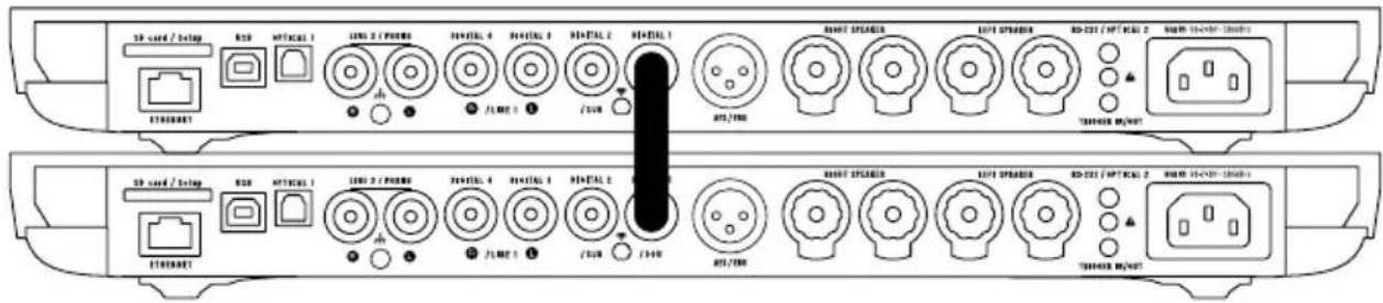DEVIALET Expert 140 Pro - 双-单声道配置 - 1