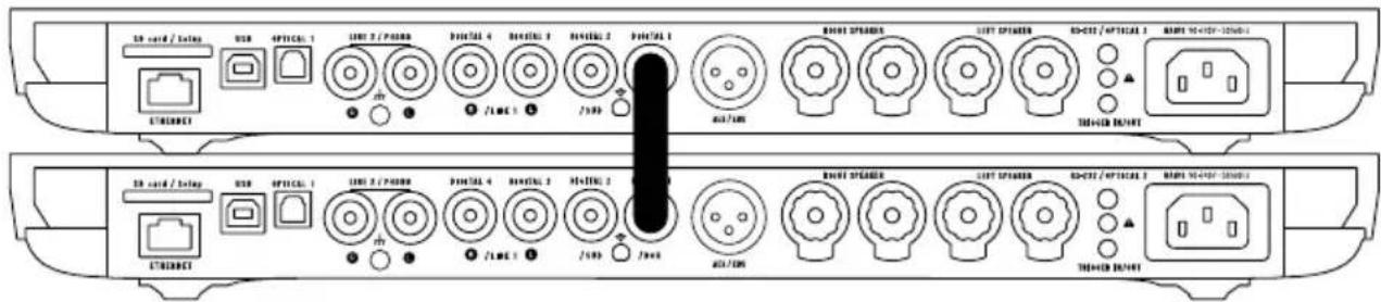 DEVIALET Expert 140 Pro - DUAL MONO-EINSTELLUNG - 1