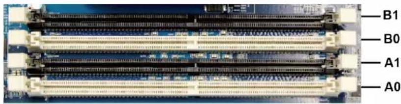 SYNOLOGY RackStation SA3200D - Installer les modules de mémoire - 1