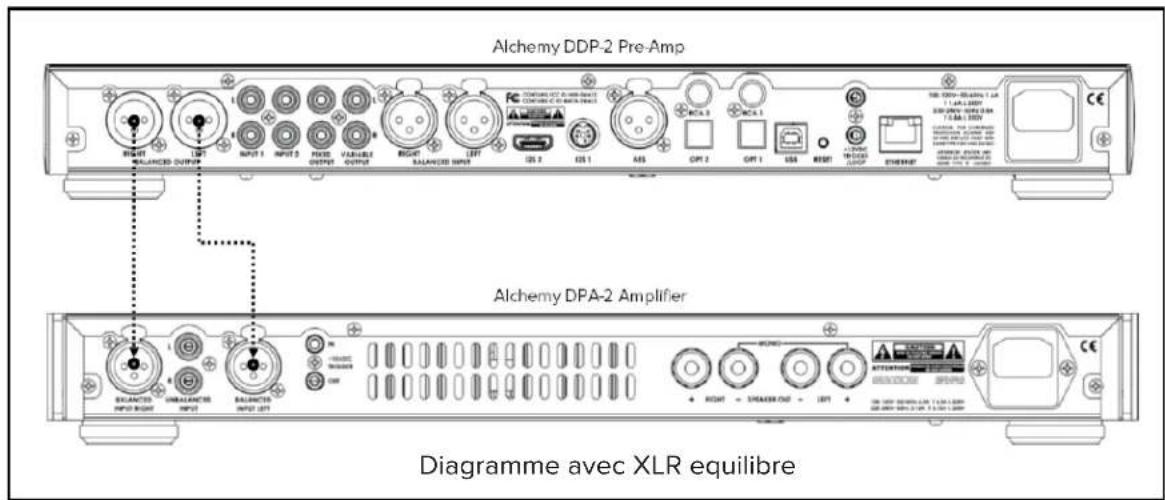 ELAC Alchemy DPA2 - Câblage des entrées - 1