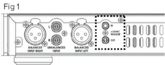 ELAC Alchemy DPA2 - Câblage et utilisation du déclencheur 12 volts - 1