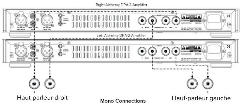 ELAC Alchemy DPA2 - Branchement des sorties - 2