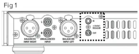 ELAC Alchemy DPA2 - Volt Trigger Anschluss und Verwendung - 1