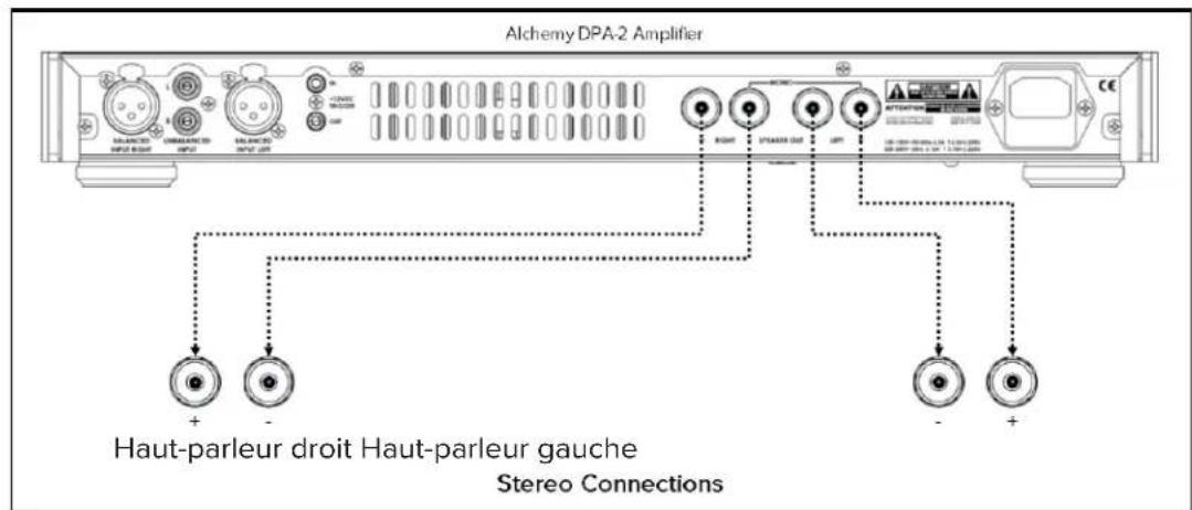 ELAC Alchemy DPA2 - Branchement des sorties - 1