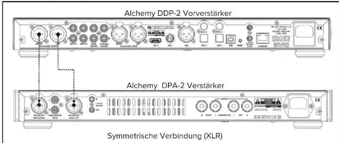 ELAC Alchemy DPA2 - Anschluss der Eingänge - 1