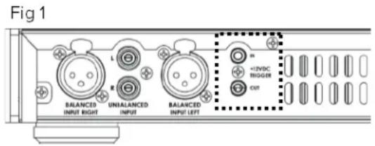 ELAC Alchemy DPA2 - Volt Trigger Wiring and Usage - 1
