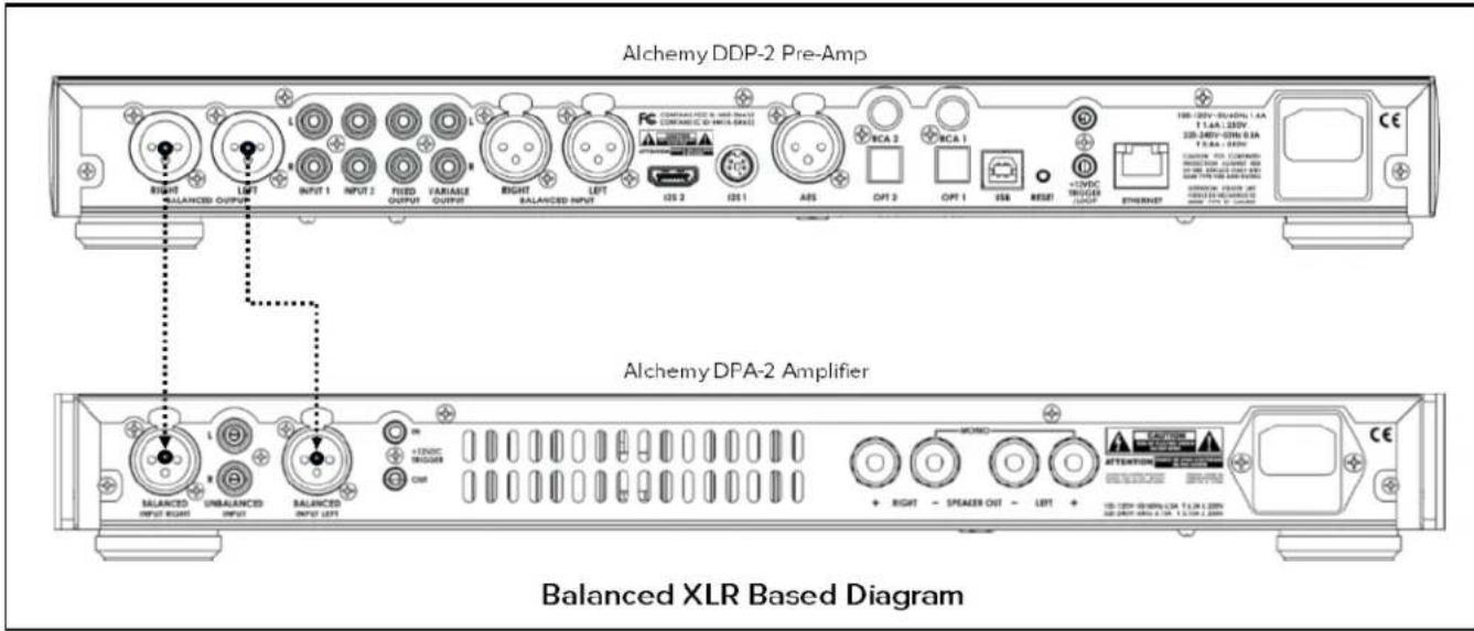 ELAC Alchemy DPA2 - Wiring the Inputs - 1