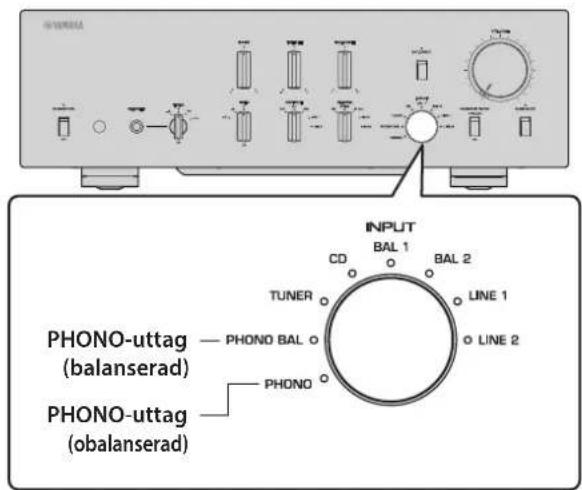 YAMAHA C5000 - Välja ingäng och utgang - 2