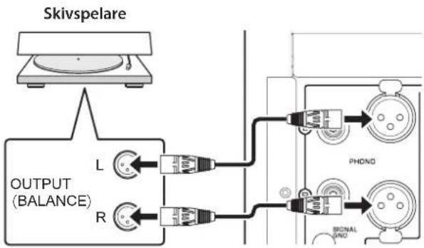 YAMAHA C5000 - Balanserad anslutning - 1