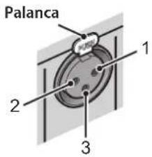 YAMAHA C5000 - Conector XLR (macho)Jack XLR (hembra) Nota - 1