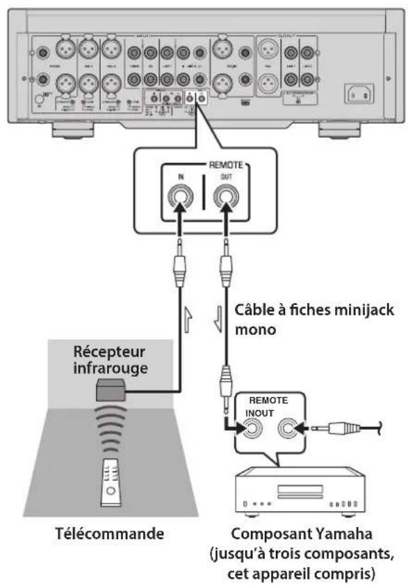 YAMAHA C5000 - Connexion à distance entre les composants Yamaha - 1