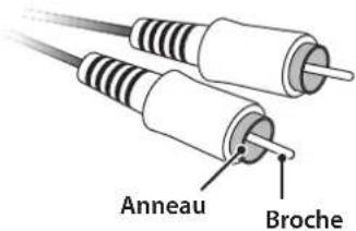 YAMAHA C5000 - Connexion asymétrique - 1