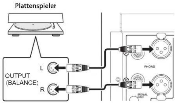 YAMAHA C5000 - Symmetrische Verbindung - 1