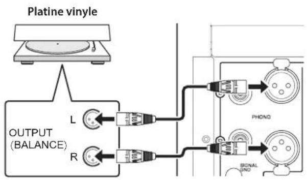 YAMAHA C5000 - Connexion symétrique - 1